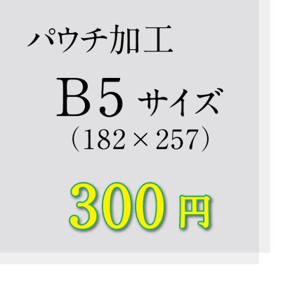 画像1: B5サイズパウチ加工（ミミ5mm）