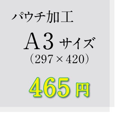 画像1: A3サイズパウチ加工（ミミ5mm）