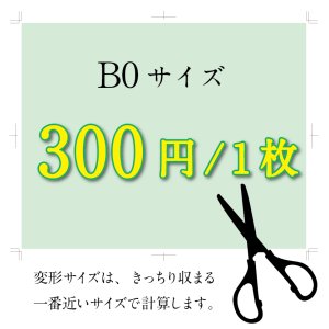 画像: 【B0サイズ】カット