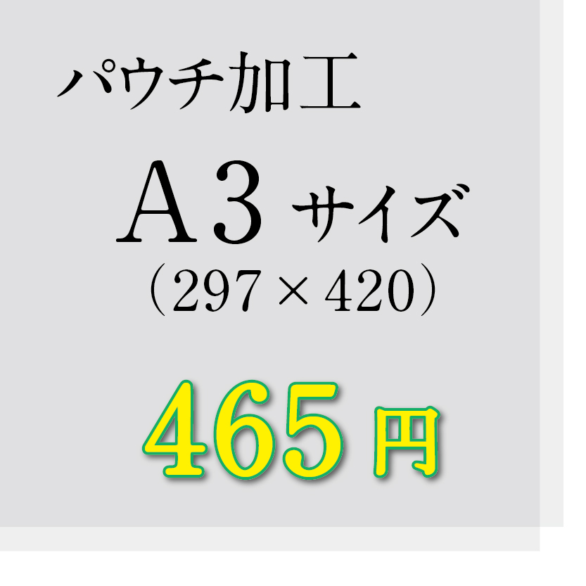 画像1: A3サイズパウチ加工（ミミ5mm） (1)