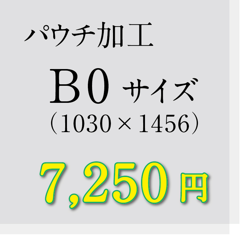 画像1: B0サイズパウチ加工（ミミ5mm） (1)