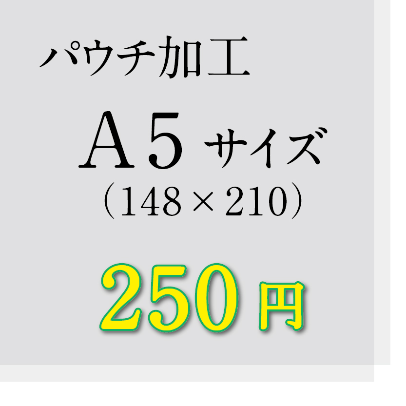 画像1: A5サイズパウチ加工（ミミ5mm） (1)